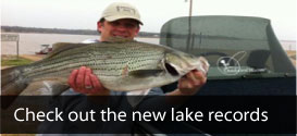 person holding a fish