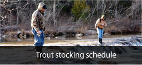 Trout stocking schedule