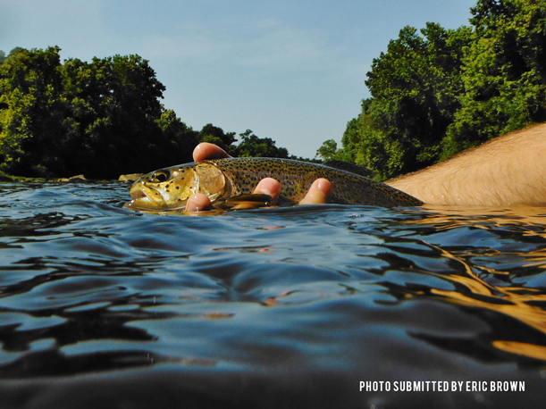 Purchase your fishing license today