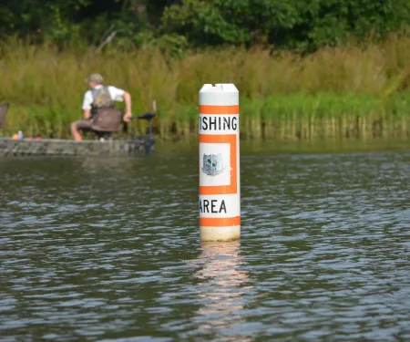 Reservoir Fishing Image