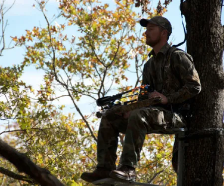 Archery hunter in tree stand.