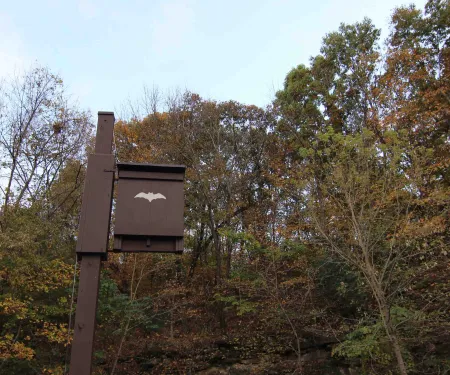 Bat house, photo by Courtney Celley/USFWS