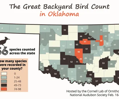 Great Backyard Bird Count Map