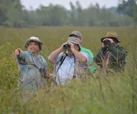 Wildlife viewers stand in a field with binoculars.