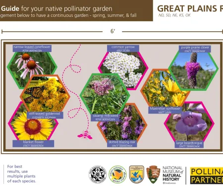 Planting guide for your native pollinator garden.