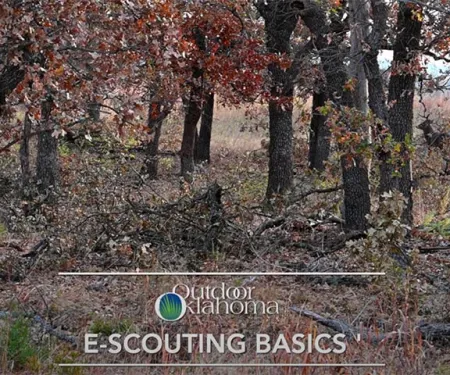 E-Scouting Basics', Outdoor Oklahoma