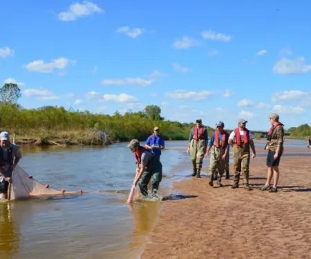 Seining For Arkansas River Shiners