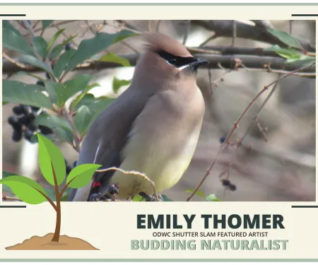Emily Thomer, ODWC Shutter Slam Featured Artist, Budding Naturalist