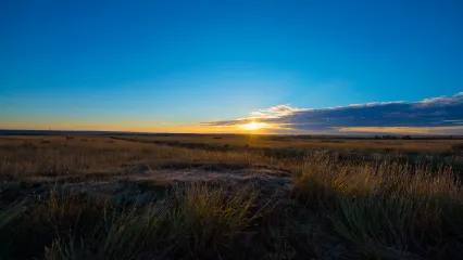 The sun is seen at the horizon of a prairie. 
