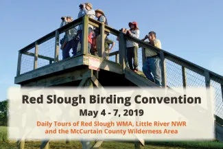 Red Slough Birding Convention flyer 2019