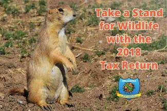 Take a stand for wildlife with the 2018 tax return