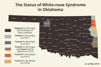 Map of White-nose Syndrome in Oklahoma