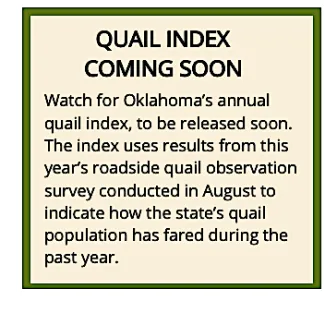 Quail Index Coming Soon