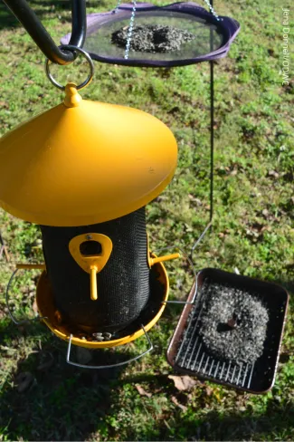 Three bird feeder examples.