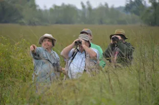 Wildlife viewers stand in a field with binoculars.