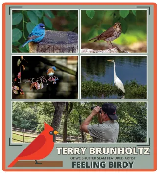 Feelin'Birdy Shutter Slam feature artist Terry Brunholtz.