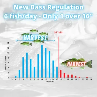 New Bass Regulation 6 fish/day - Only 1 over 16" harvest chart.