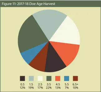 BGR 2017-2018: Figure 11: 2017-18 Doe Age Harvest