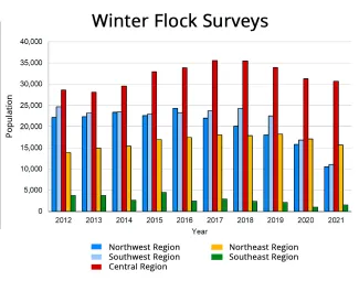 Turkey winter flock surveys chart by region.