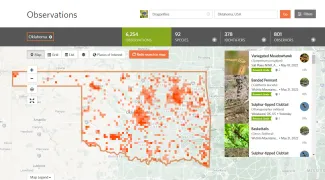 iNaturalist map showing dragonfly sightings in Oklahoma