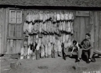 A trapper sits next to pelts captured in 1938. 