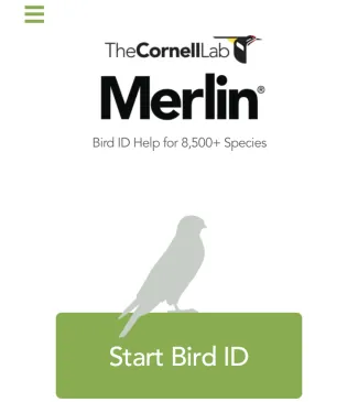 A screenshot of the Merlin app.