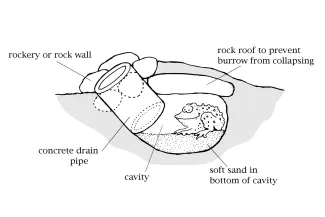 A line drawing of a toad hole construction.