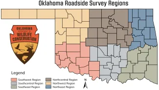 f1 quail roadside survey regions