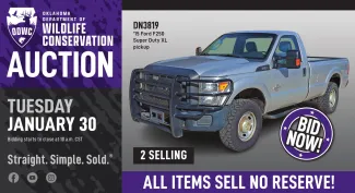 ODWC Auction Tuesday January 30 with Image of Silver Ford Truck