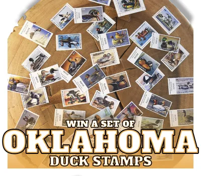 Raffle Graphic - Oklahoma Duck Stamps