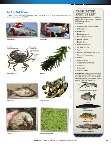Page 31 - 2020 - 2021 Oklahoma Hunting & Fishing Regulations