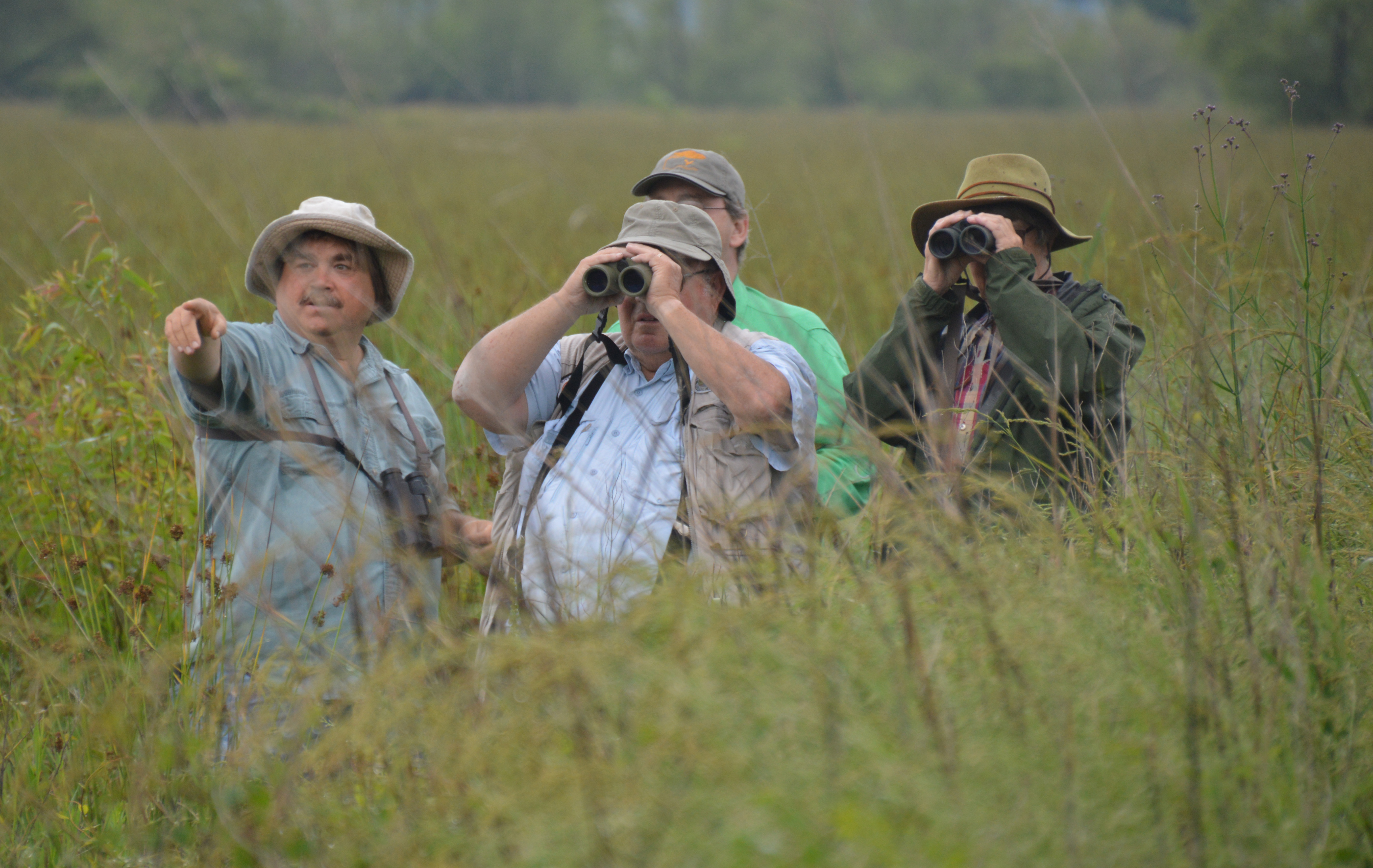 Wildlife viewers in the field at McCurtain County Wilderness Area.