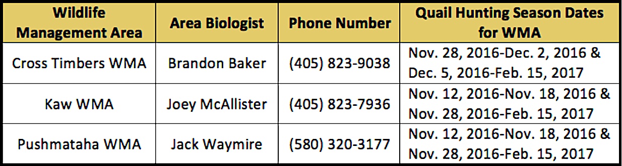 Quail hunter wing donation contacts.