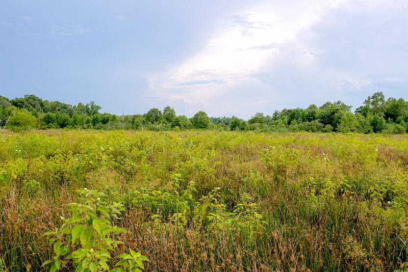 Landowners Can Enroll in OLAP, Earn Payments for Access Oklahoma