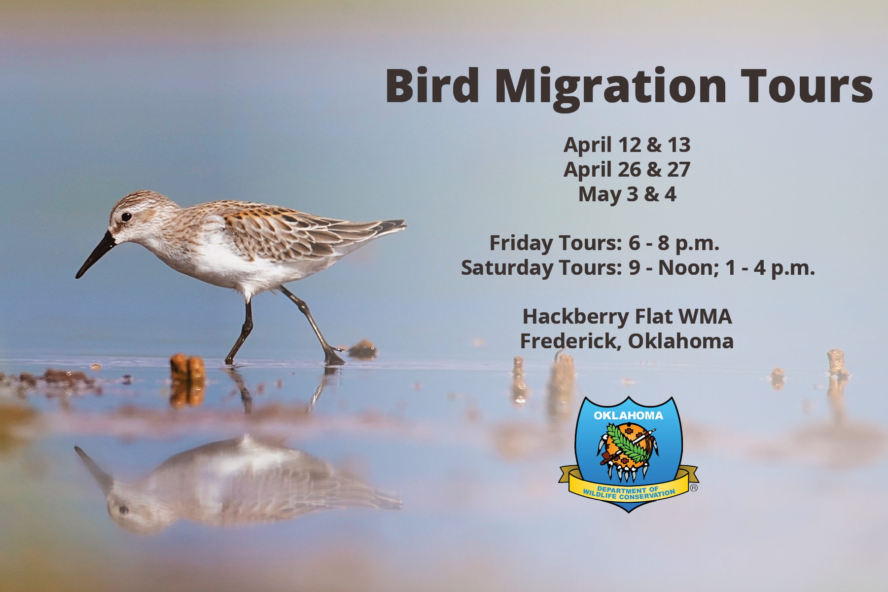 2019 Hackberry Flat bird migration tours flyer