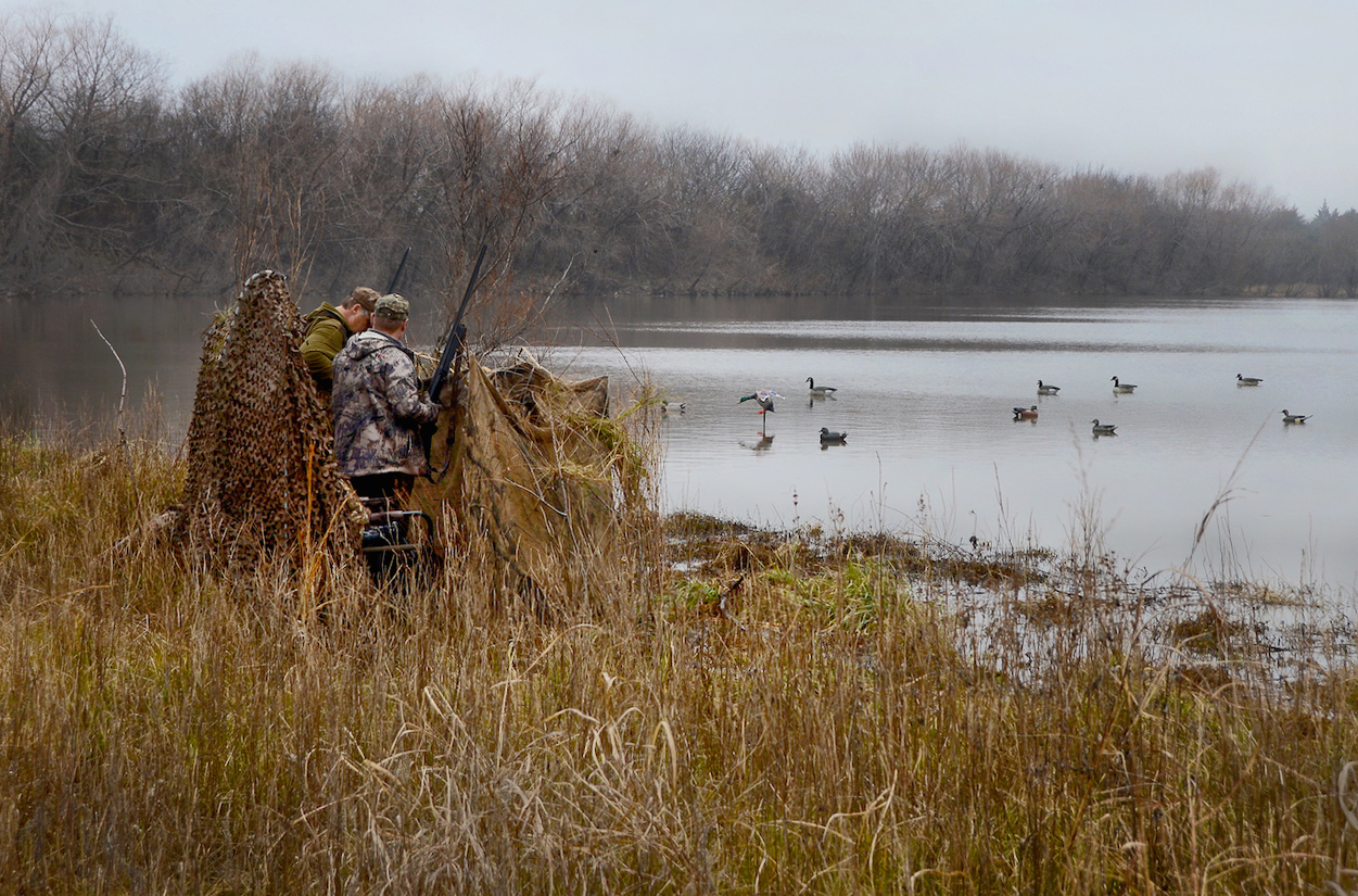 Teal and resident Canada goose seasons open Saturday, Sept. 7, giving waterfowlers some early shots before the regular duck season openers. (Don P. Brown/ODWC)