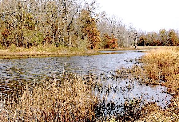 Water will not be pumped into the Deep Fork/Eufaula Wetland Development Unit this season in an effort to preserve standing timber for the future. (wildlifedepartment.com)