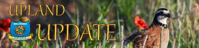 Upland update banner