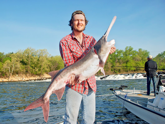 Country music star Blake Shelton, seen in this file photo with his lake-record paddlefish, will serve on the board of directors of the new Oklahoma Wildlife Conservation Foundation. (Nels Rodefeld/ODWC)