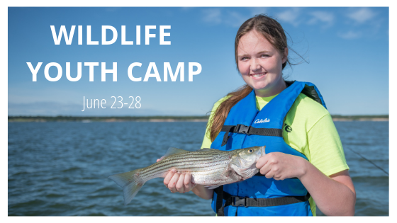 Girl holding a striped bass