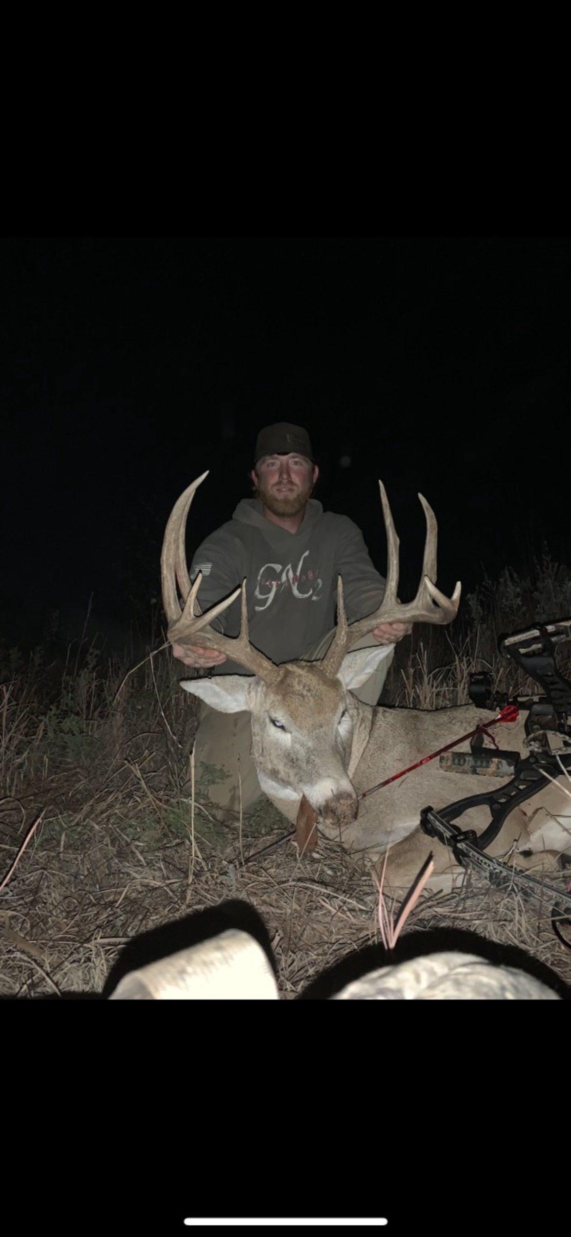 Typical Whitetail Deer Coltan Whittington 