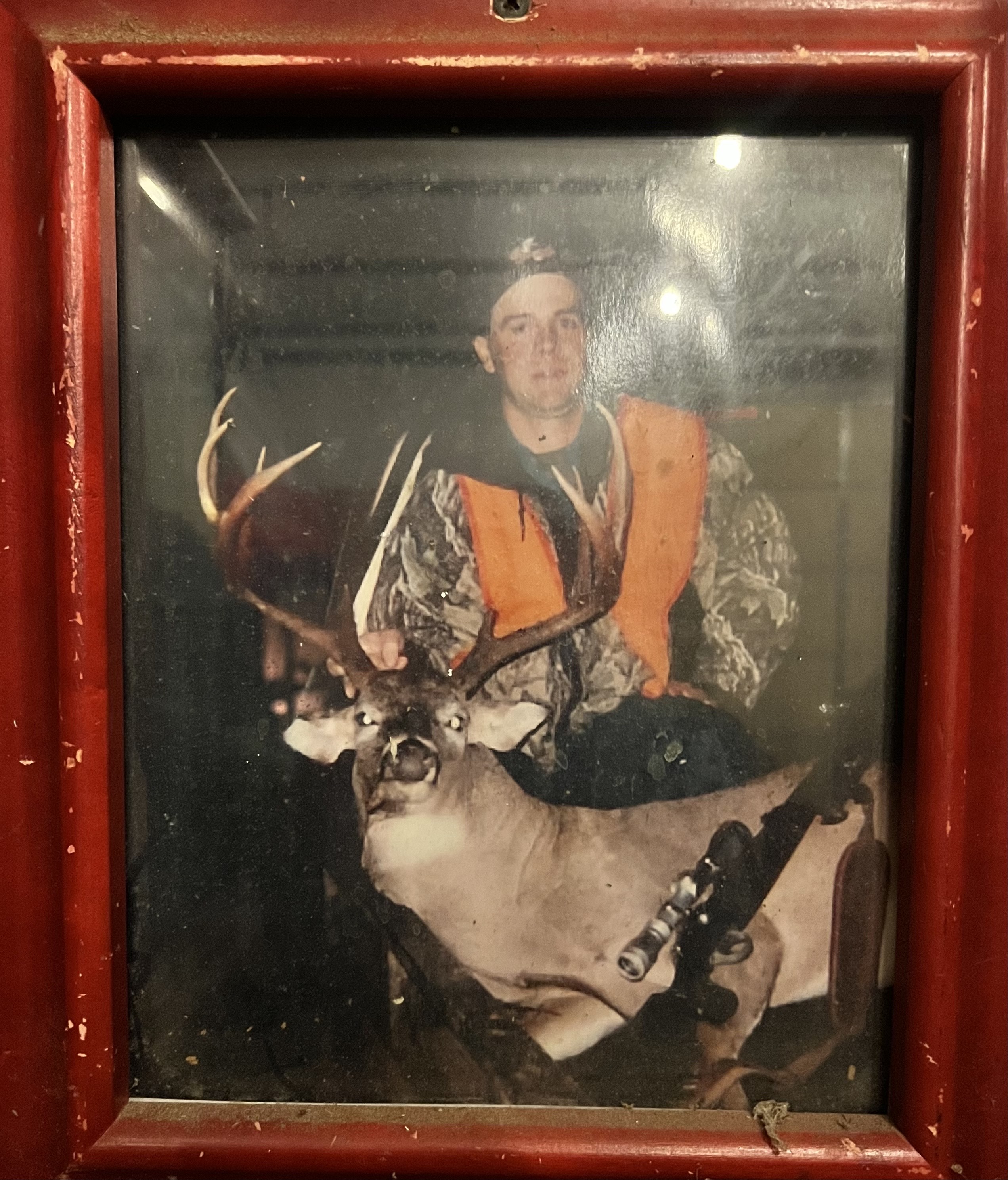 Typical Whitetail Deer Shawn Lee 