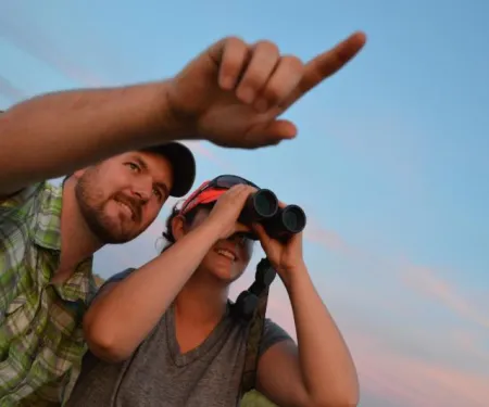 The Wildlife Department's annual Selman Bat Watch gives viewers a chance to see hundreds of thousands of Mexican free-tailed bats emerge from a cave to feed. (Blake Podhajsky/ODWC)