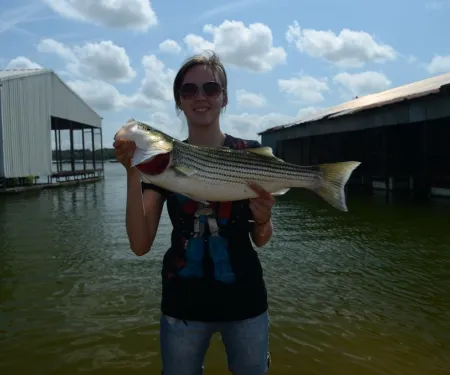 Young girl holding striped bass.