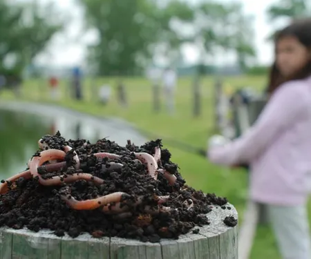 Worms on a post with girl fishing in the background.