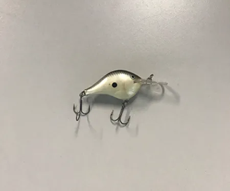 Bass Lipped Crankbait