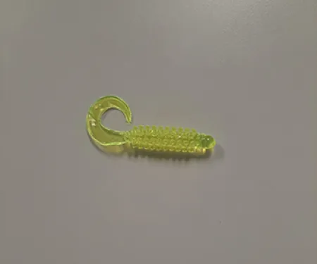 Curly Tail Grub