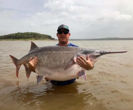 Lukehart record paddlefish.