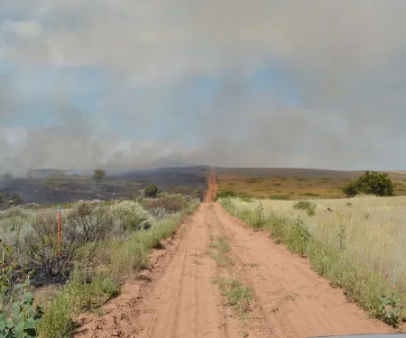Smoke in the distance with a road going through a piece of property.