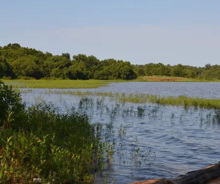 Heyburn WMA, photo by Jennifer Benge